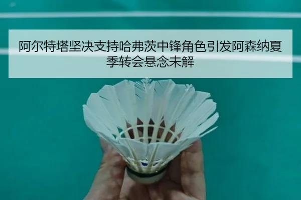 阿尔特塔坚决支持哈弗茨中锋角色引发阿森纳夏季转会悬念未解（333 Sports）